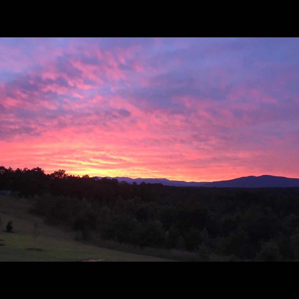 Meet your Posher, Jillain